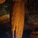 팔복손칼국수 | [공지] 동해 황금박쥐동굴(구 천곡동굴) 탐험기 - 아이와 함께한 천연동굴 모험