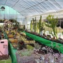 참샘 농원 이미지