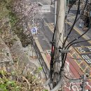 전봇대 옆 이미지