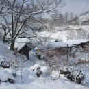 더눈