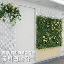 한국주얼리고등학교 | 꽃벽면녹화를 활용한 전시공간 인테리어! 인조 행잉 식물과 함께 조화롭게! 한국 주얼리고등학교