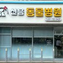 신흥동물병원 이미지