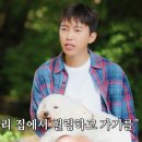 산골