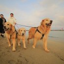 일상의 각별한 기행 이미지