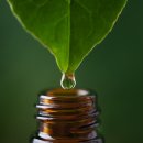 아로마숨명상 이미지