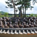 양서문화체육공원 이미지