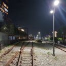 송정꼬리치는산곰장어