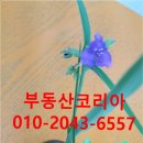 구암동158 이미지