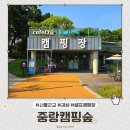 중랑캠핑숲공원 | 서울 근교 캠핑장 &#39;중랑캠핑숲&#39; 감성셀프바베큐 후기