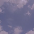 라이카 일상