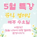 나비초 이미지