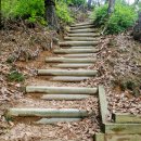 원주굽이길 1코스 배부른산길 이미지