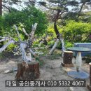 강릉태일 공인중개사사무소 이미지