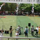 성남중앙초등학교 이미지