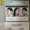 그린토마토 이미지