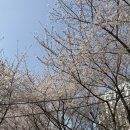 준경목장 네이버블로그