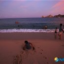 지메나 뉴시스