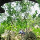 입석초교 이미지