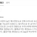 사치 - 포항시 북구 중앙상가2길 19-4 | 사치