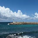 사계 돌담숲 | [제주 가족여행 2탄] 여미지식물원 • 노라바 • 오설록 티뮤지엄 • 사계해안 • 돌담흑돼지 중문점 후기