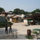 자영목장 이미지