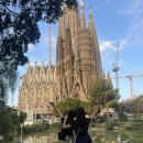 파밀리아 | 바르셀로나 :: 사그라다 파밀리아 후기｜빛에 압도된 4일차 여행 기록