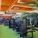 머슬비치짐 휘트니스 | 능곡동 헬스장 "올 한해 남은기간 헬스 무료 이용" 선물해 드립니다! 시흥능곡PT NO.1 머슬비치짐 휘트니스