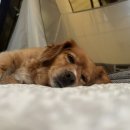 광양 진틀펜션 이미지