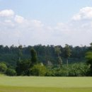 Hole in One(홀인원) 이미지