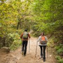 체담한방병원 이미지