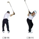 `과학적인 골프스윙 매뉴얼` 골프 레슨<제2장>-4. 백 스윙(back swing) 이미지