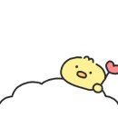 지저트