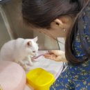 나인동물의료센터 이미지