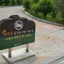 광주광역시 광산구 공익활동지원센터 프로그램실 | 광주 가볼 만한 곳 원당산 숲길