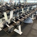 프로원휘트니스 네이버블로그