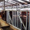 고정축산 이미지