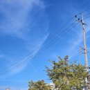 빵철이만두 이미지