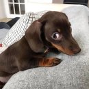 유경세탁소 | 인생은 ‘속도전’이 아니라 ‘지구전’ (0131-0201)