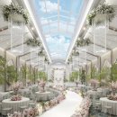 더포레D 이미지