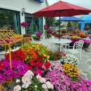 뜰안에 정원 이미지