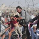 민들레1 이미지