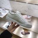 화이트앤스타
