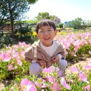 달맞이꽃과 귀염둥이🌺 이미지