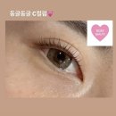 로지뷰티 이미지