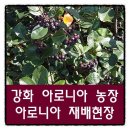 건일농장 이미지