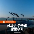 물속풍경수족관 | 시코쿠 수족관 다카마츠 근교 일본 소도시 카가와현 여행 명소 방문후기
