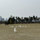 이마트24 세종수목원 야외쉼터2호점 | 국립세종수목원 야외정원