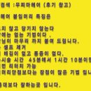 금정 붙임머리 이미지