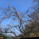 종합농장 이미지