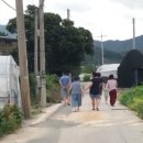 청포농장 이미지